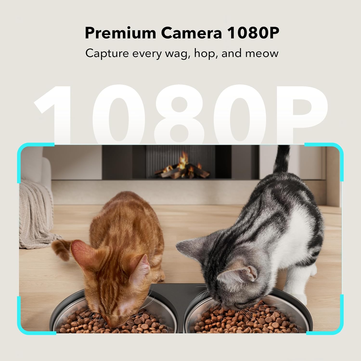 Automatic Cat Feeder with Camera for Two Cats, 1080P HD Video with Night Vision, 5G Wifi Pet Feeder with 2-Way Audio for Cat & Dog, Low Food & Motion & Sound Alerts, Dual Tray, Black 5L