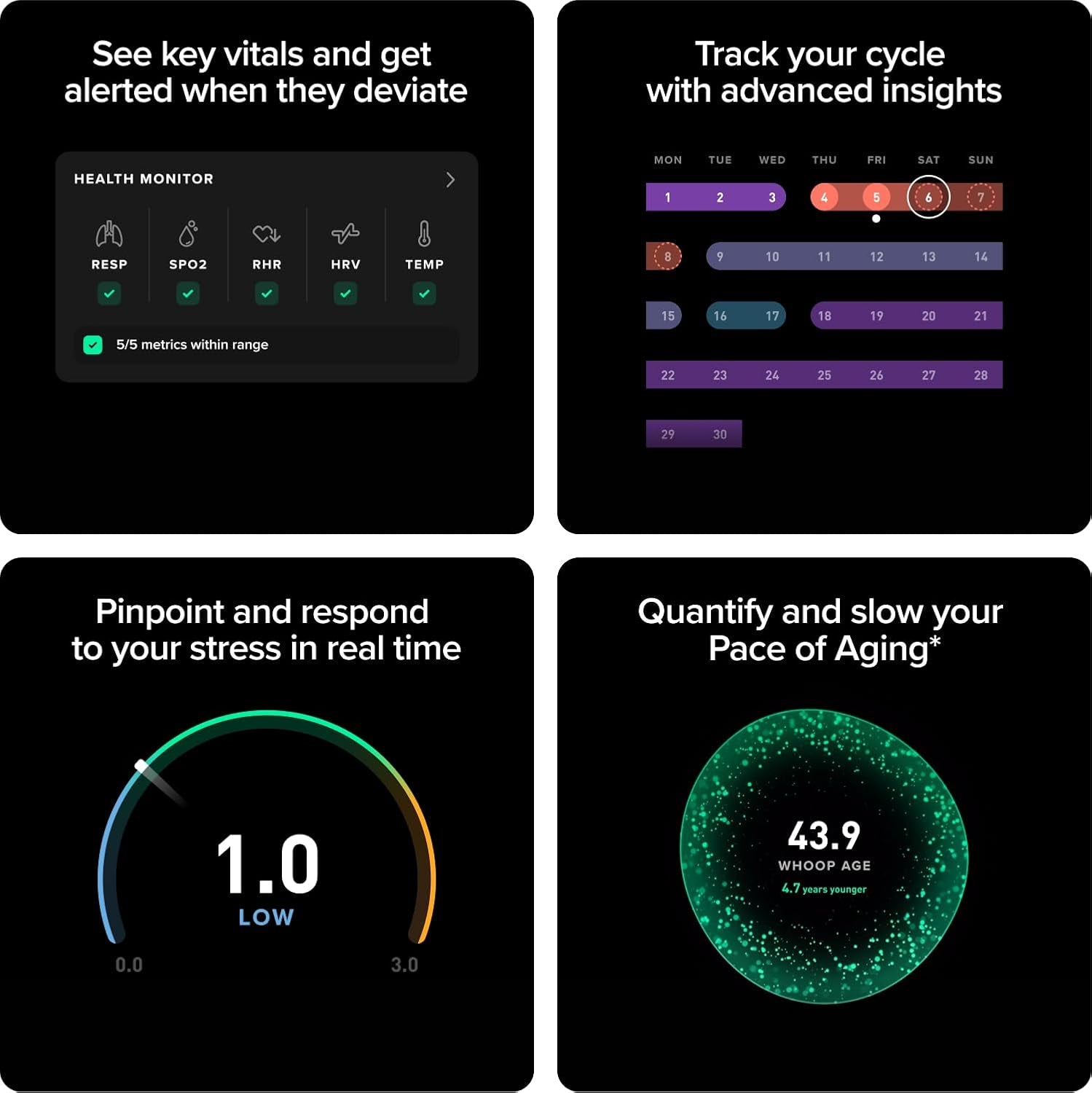 – 12-Month Membership – 5.0 Health and Fitness Wearable – 24/7 Activity Tracker